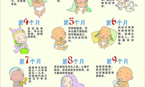 【肾不好吃什么食物最好调理】肾不好吃什么食物最好调理 - 补肾该吃什么食物最好网