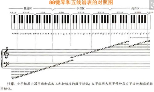 肾不好吃什么食物最好调理-【肾不好吃什么食物最好调理】肾不好吃什么食物最好调理 - 补肾该吃什么食物最好网